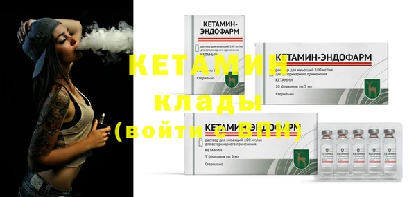 стаф Аркадак