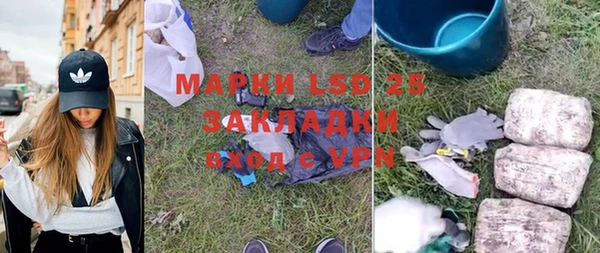 стаф Аркадак