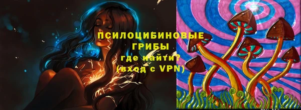 экстази Арсеньев