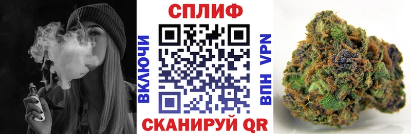 mega Пудож Бошки марихуана LSD WEED где продают